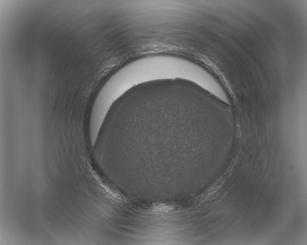 X0000056330257200509232020