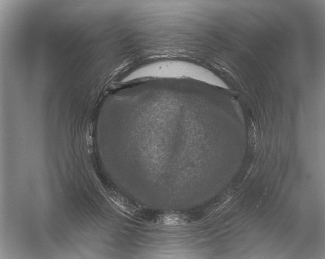 X0000056330264200509232020