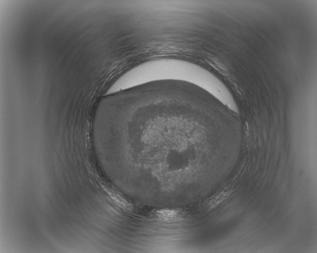 X0000056330265200509232020