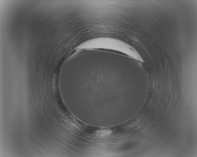 X0000056330266200509232020