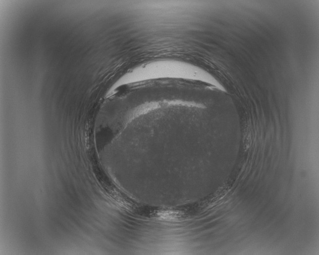 X0000056330268200509232020