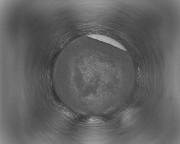 X0000056330270200509232021