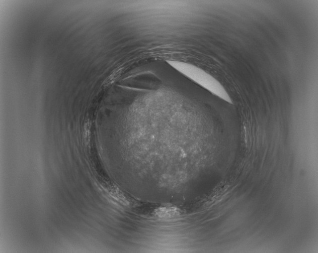 X0000056330271200509232021