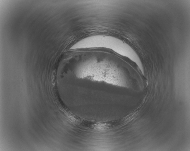 X0000056330273200509232021