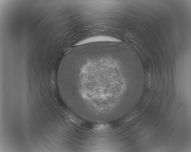 X0000056330274200509232021