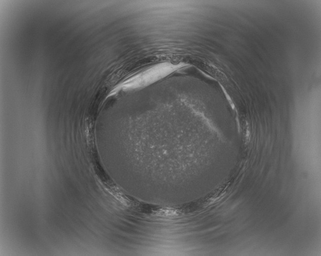 X0000056330276200509232021