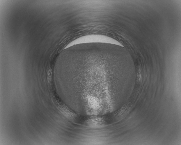 X0000056330278200509232021