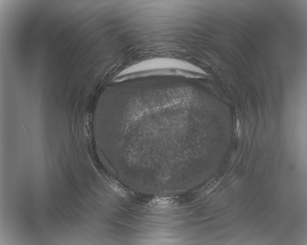 X0000056330280200509232021