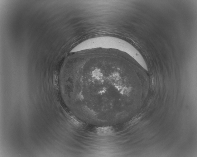 X0000056330281200509232021