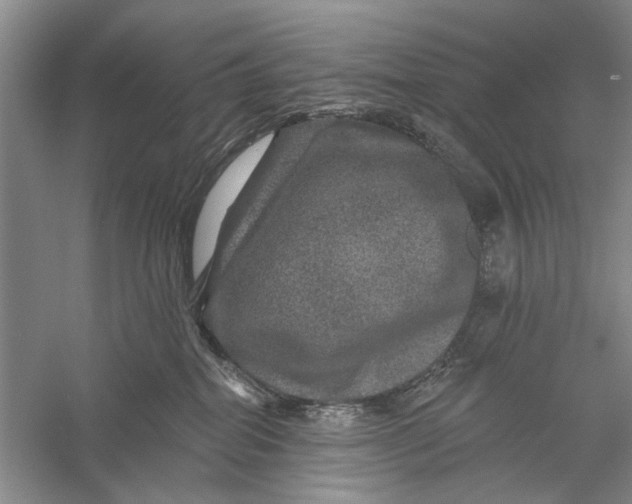 X0000056330282200509232021