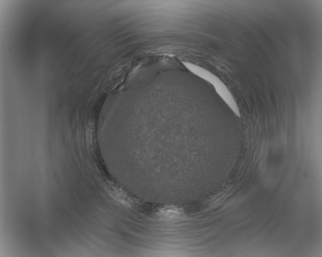 X0000056330283200509232021