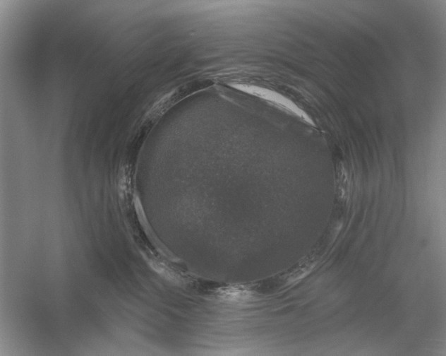 X0000056330284200509232021