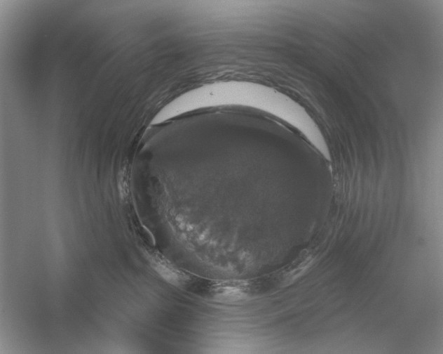 X0000056330285200509232021