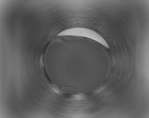 X0000056330286200509232021