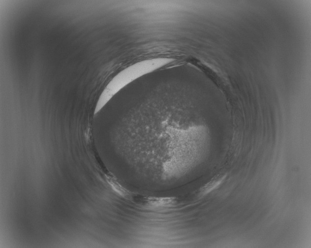 X0000056330288200509232021