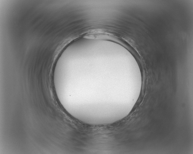 X0000056330289200509232020