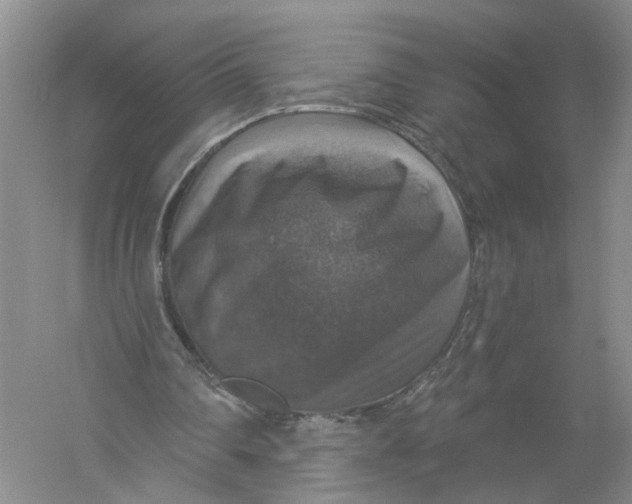 X0000056330290200509232020