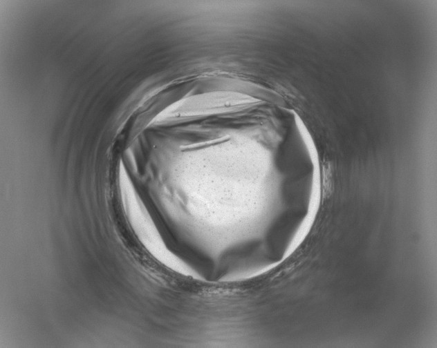 X0000056330291200509232020