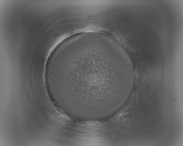 X0000056330292200509232020