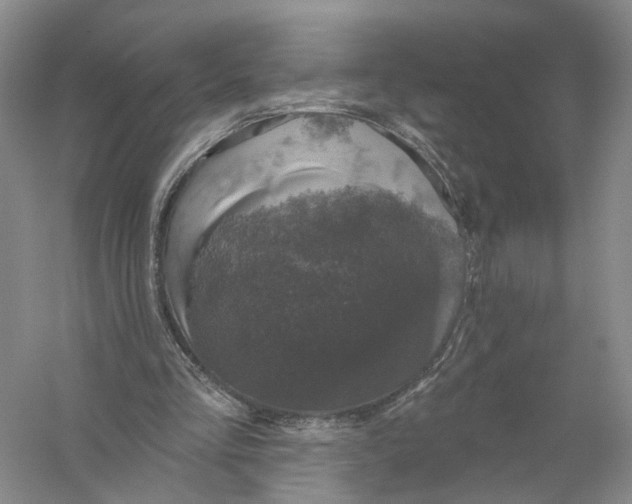 X0000056330293200509232020