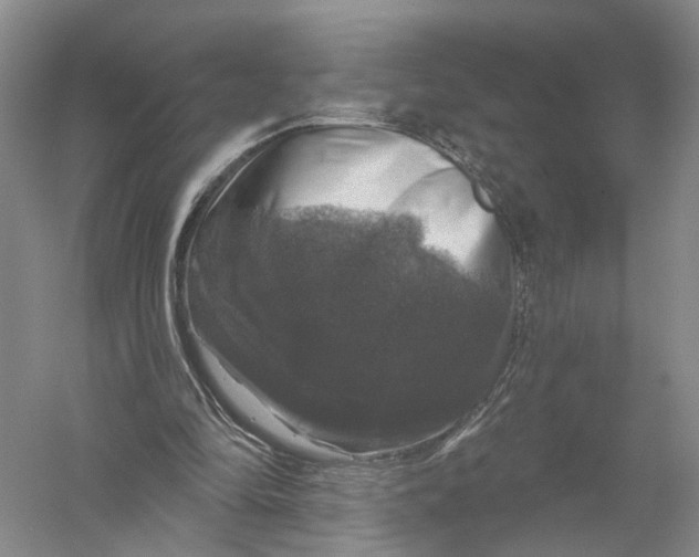 X0000056330294200509232020