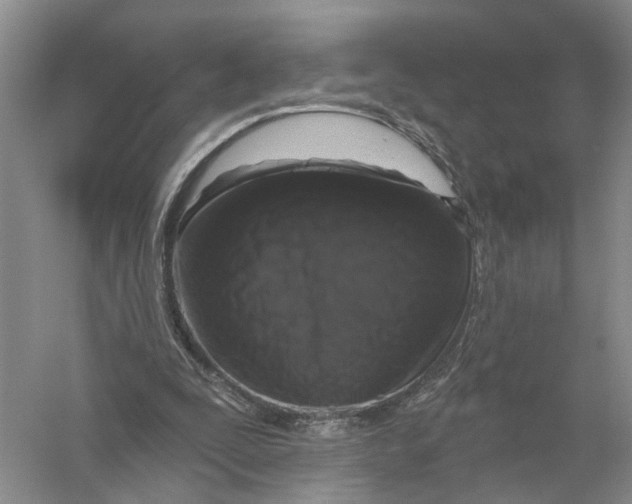 X0000056330295200509232020