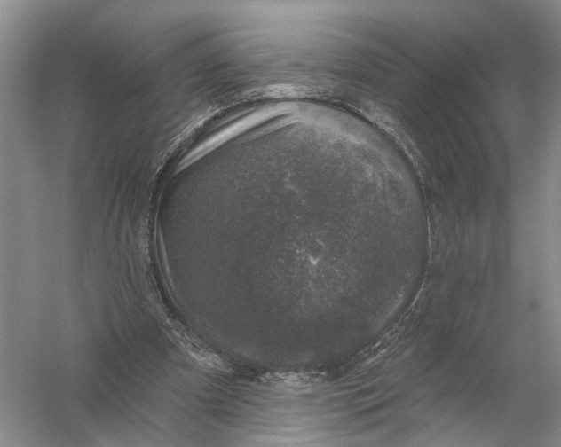 X0000056330297200509232020