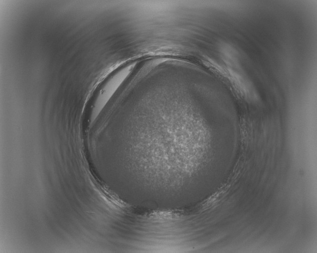 X0000056330298200509232020