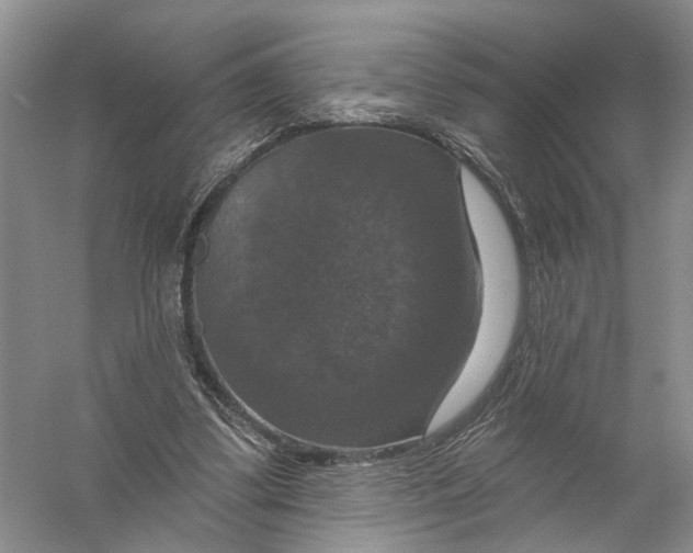 X0000056330299200509232020