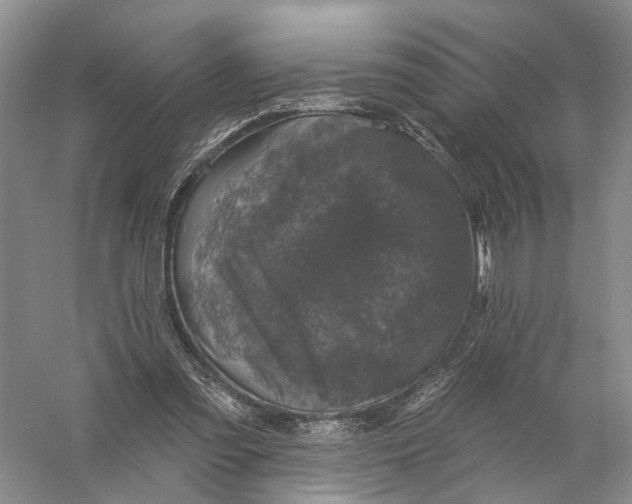 X0000056330301200509232020