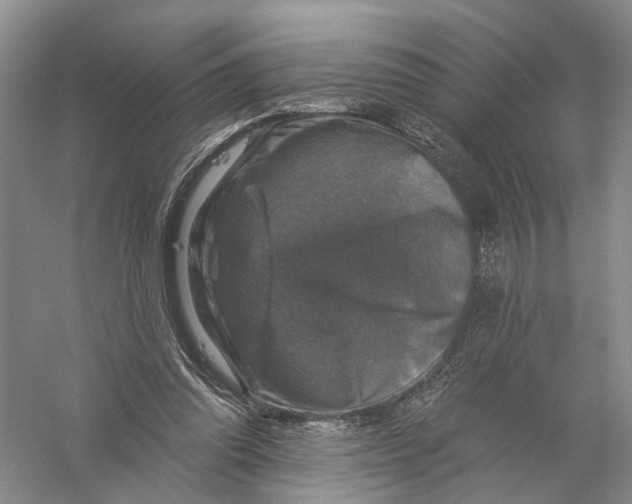 X0000056330302200509232020