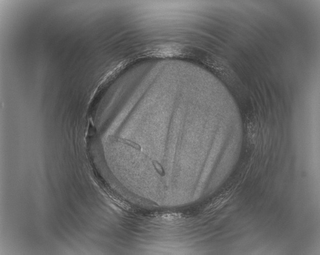 X0000056330304200509232020