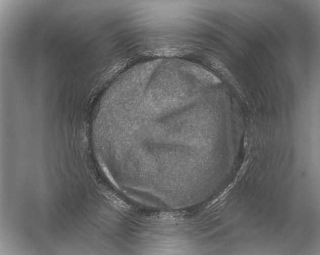 X0000056330305200509232020