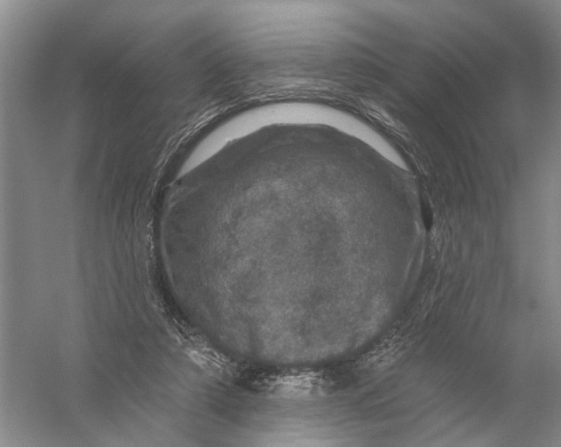 X0000056330306200509232020