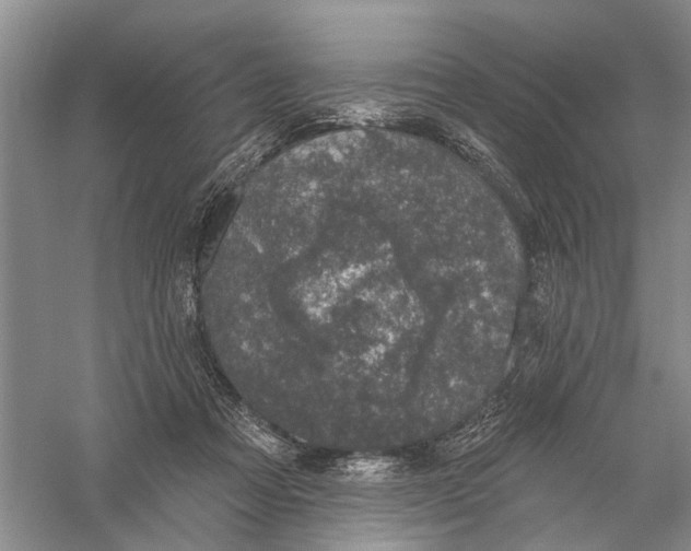 X0000056330313200509232020