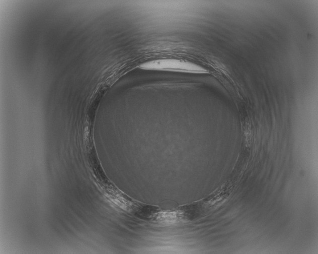 X0000056330314200509232020