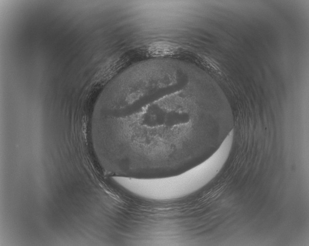 X0000056330315200509232020