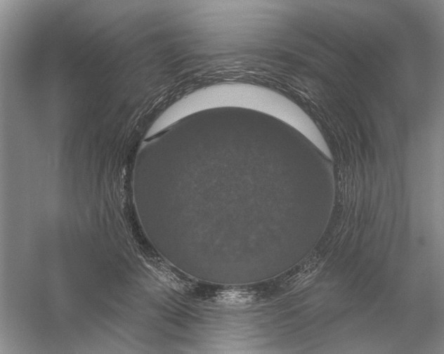 X0000056330319200509232019