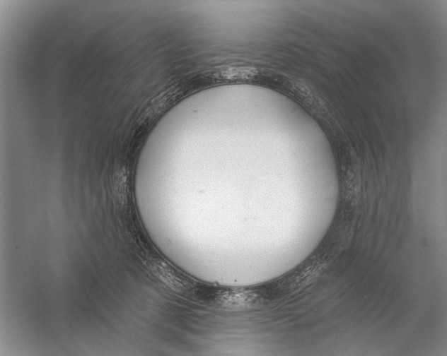 X0000056330321200509232019