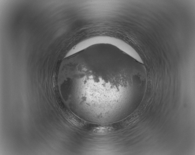 X0000056330323200509232019