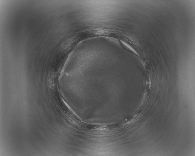 X0000056330325200509232019