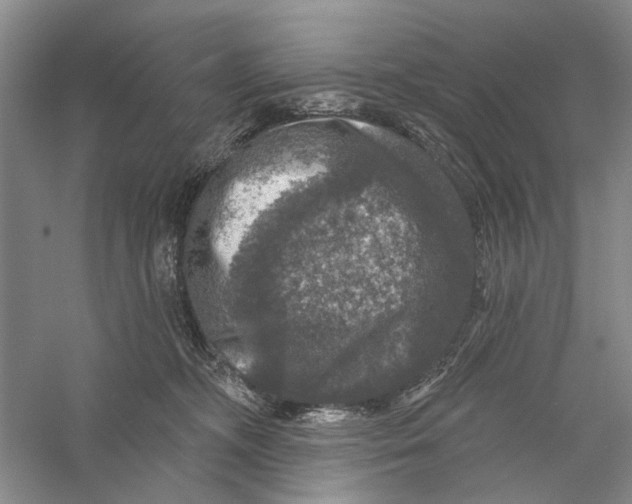 X0000056330326200509232019