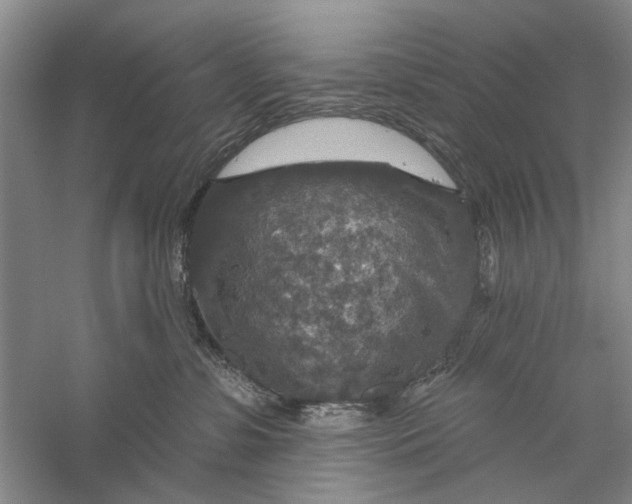 X0000056330331200509232019