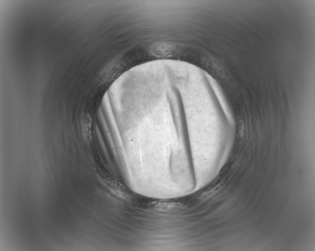 X0000056330332200509232019