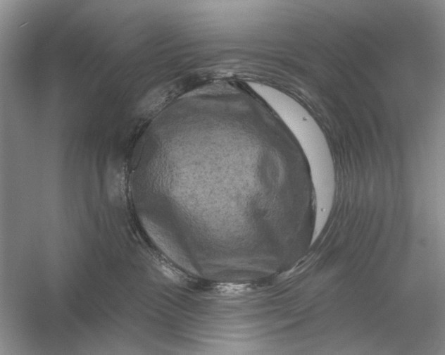 X0000056330333200509232019