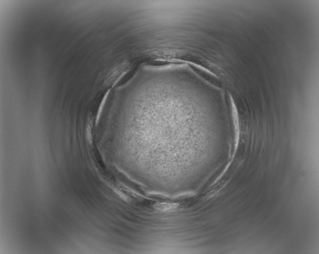 X0000056330334200509232019