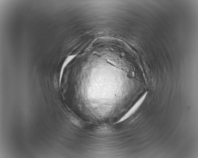 X0000056330335200509232019