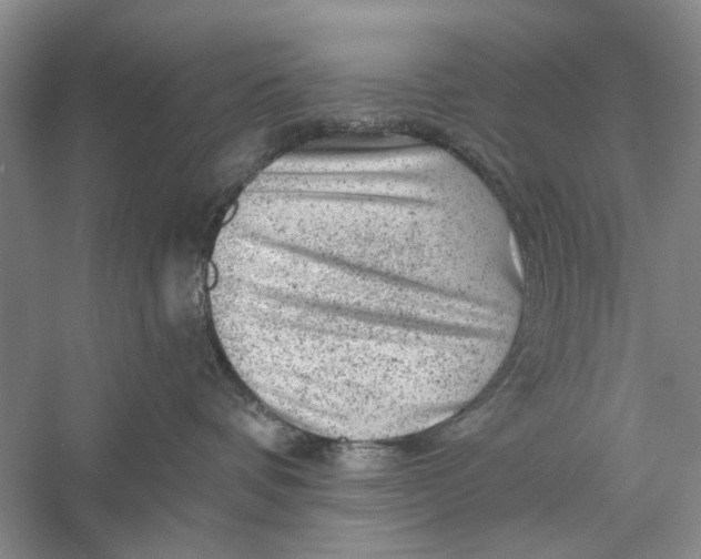 X0000056330336200509232019