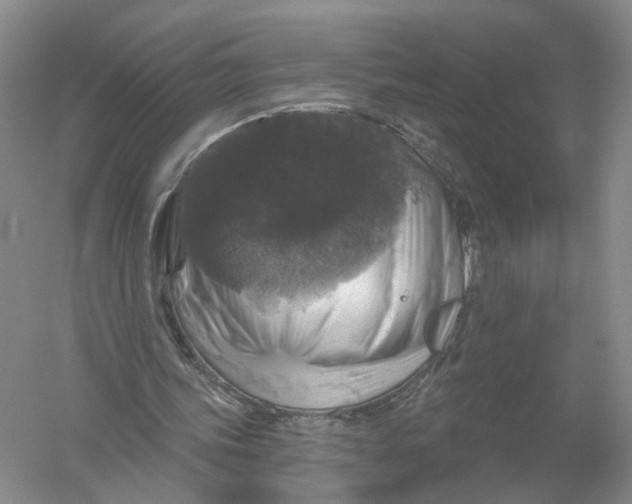 X0000056330339200509232018