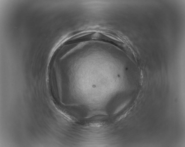 X0000056330344200509232018